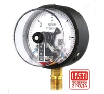 Манометр электроконтактный Физтех ДМ2010ф исп V 0-6 кгс/см2 кт.1,5 d.100 IP40 M20_1,5 РШ 4687205638250