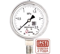 Манометр коррозионностойкий Физтех ДМ8008-ВУф Кс 0-2,5 МПа кт.1,0 d.100 IP65 M20х1,5 РШ SG, Силикон 4687205720658