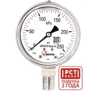 Манометр коррозионностойкий Физтех ДМ8008-ВУф Кс 0-250 кПа кт.1,0 d.100 IP65 M20_1,5 РШ SG, Силикон 4687205720719