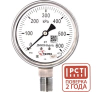 Манометр коррозионностойкий Физтех ДМ8008-ВУф Кс 0-600 кПа кт.1,0 d.100 IP65 M20_1,5 РШ SG, Б/запол 4687205720870