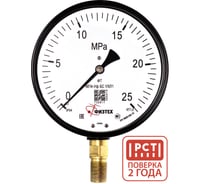 Манометр пылевлагозащищенный Физтех МП4-Уф 0-25 МПа кт.1,0 d.160 IP54 M20х1,5 РШ БС УХЛ1 4687205630087