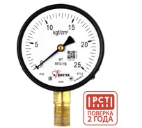 Манометр технический Физтех МП3-Уф 0-25 кгс/см2 кт.1,5 d.100 IP40 M20_1,5 РШ 4687205638472