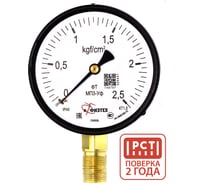 Манометр технический Физтех МП3-Уф 0-2,5 кгс/см2 кт.1,5 d.100 IP40 M20_1,5 РШ 4687205638465