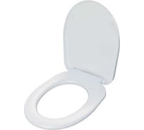 Сиденье Инкоэр РИО микролифт голубовато-белый В00В0027989