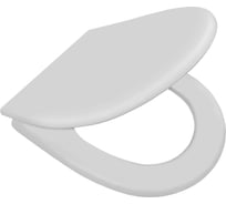 Сиденье Roca Access дюропласт, микролифт, дюропласт 801233001 7801233001