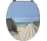 Сиденье для унитаза WIRQUIN серии TRNDY LINE "HOLIDAY BEACH" с креплениями из нержавеющей стали  20719122 1