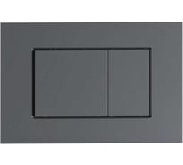 Кнопка смыва ALLEN BRAU EVO S abs графит 9.2EV01.GR (347725) 00347725