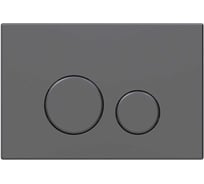 Кнопка смыва ALLEN BRAU PRIORITY 3.0 пневмо, abs графит 9.20A01.GR (345327) 00345327