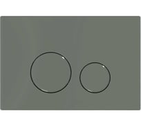 Кнопка смыва ALLEN BRAU PRIORITY 3.0 пневмо, abs Олива RAL7033 9.20A01.CGM (345329) 00345329