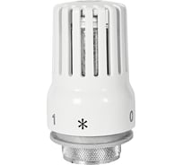 Головка термостатическая, жидкостная ROMMER RHT-0002-103015 M30x1,5 RG0093KC4IM0BL