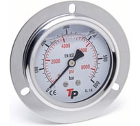 Манометр гидравлический Урдюга D63 мм, 0-600 bar, 1/4BSP TP фланцевый МГВФ600