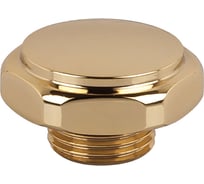 Заглушка SR Rubinetterie серия "ретро" 1/2, для радиатора, цвет золото 0322-1500D000