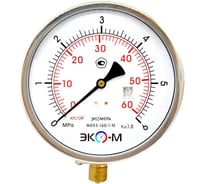 Манометр ЭКО-М Экомера МД93-160мм 0..6МПа М20*1,5 (Гидрозаполненный) МД93-160-М-6МПа