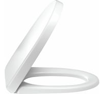 Крышка-сиденье Jacob Delafon Odeon Up 00178876 E70011-00