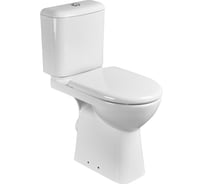 Сиденье Roca Access для высокой чаши 480 мм, микролифт, Take off ZRU9307772