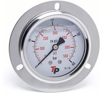 Манометр гидравлический Урдюга D63 мм 0-40 bar 1/4BSP TP фланцевый МГВФ40