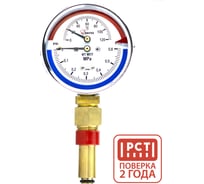 Термоманометр Физтех МПТ 0…120C/0…0,6 МПа кт.2,5 d.100 IP40 G1/2 РШ L46 4687205630827