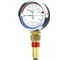 Термоманометр Физтех МПТ 0…120C/0…0,6 МПа кт.2,5 d.100 IP40 G1/2 РШ L46 4687205630827 2