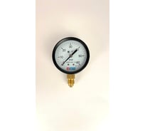 Манометр МЕТЕР ДМ 02-063-1-G Р=0..60 бар, G1/4, класс 1,5 3234