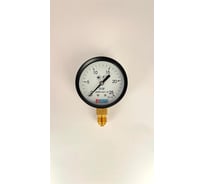 Манометр МЕТЕР ДМ 02-063-1-G Р=0..25 бар, G1/4 класс1,5 629