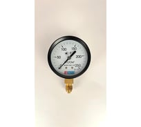 Манометр МЕТЕР ДМ 02-063-1-М Р=0..250 кгс/см2, М12х1.5, класс 1.5 1822