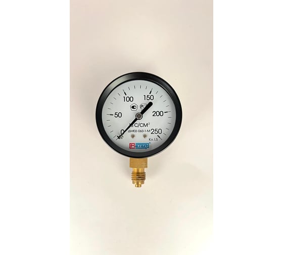 Манометр МЕТЕР ДМ 02-063-1-М Р=0..250 кгс/см2, М12х1.5, класс 1.5 1822 1