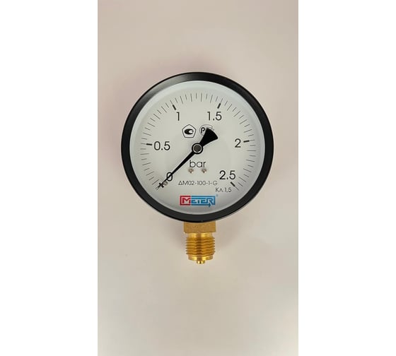 Манометр МЕТЕР ДМ 02-100-1-G Р=0..2,5 бар G1/2 кл.1,5 698 1