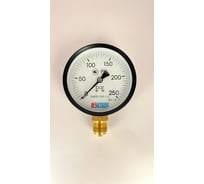 Манометр МЕТЕР ДМ 02-100-1-G Р=0..250 бар G1/2 кл.1,5 700