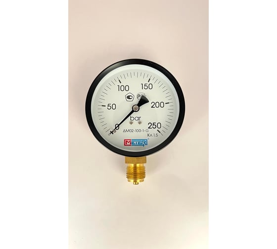 Манометр МЕТЕР ДМ 02-100-1-G Р=0..250 бар G1/2 кл.1,5 700 1