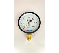 Манометр МЕТЕР ДМ 02-100-1-G Р=0..60 бар G1/2 кл.1,5 705