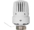 Термоголовка жидкостная ROYAL THERMO BASIC с выносным датчиком М30x1,5 НС-1706053 3