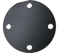 Заглушка STIEBEL ELTRON BF 80 231884