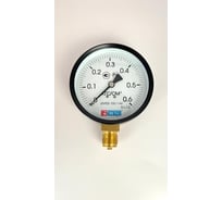 Манометр МЕТЕР ДМ 02-100-1-М Р=0..0,6 кгс/см2 М20х1,5 кл.1,5 716