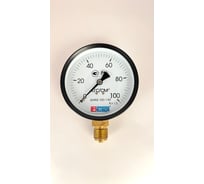Манометр МЕТЕР ДМ 02-100-1-М Р=0..100 кгс/см2 М20х1,5 кл.1,5 724