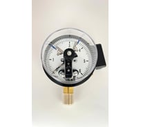 Манометр электроконтактный МЕТЕР ДМ 03-V-100-1-М Р=0..6 кгс/см2 М20х1,5 кл.1,5 8275