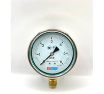 Манометр МЕТЕР ДМ 93-100-1-G Р=0..6 бар G1/2 кл.1,0 с заполнением 6571
