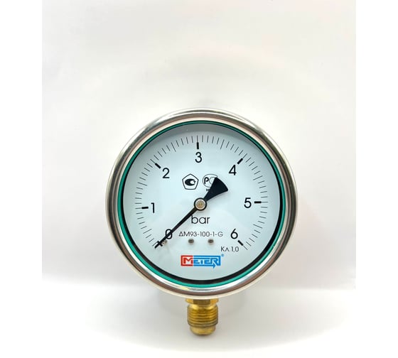Манометр МЕТЕР ДМ 93-100-1-G Р=0..6 бар G1/2 кл.1,0 с заполнением 6571 1