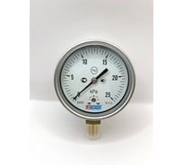 Манометр МЕТЕР ДМ 30-100-1-M Р=0..25 kPa M20x1,5 кл.1,5 8244