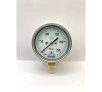 Манометр МЕТЕР ДМ 30-100-1-G Р=0..250 мбар G1/2 кл.1,5 8233