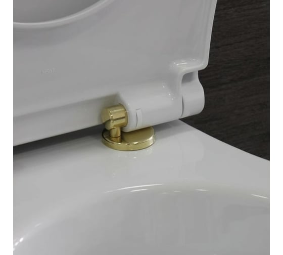 Крышка сиденье GSI с микролифтом (отделка золото) MSO87CN11 00000078352