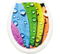 Пластиковая крышка для унитаза Bath Plus ЛЕПЕСТКИ фотопринт KDU133