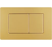 Кнопка слива RGW SWH-10Gb золото браш (двойной смыв) 80420010-06