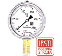 Манометр виброустойчивый Физтех ДМ8008-ВУф 0-250 кПа кт.1,0 d.100 IP54 G1/2 РШ, Силикон 4687205640284