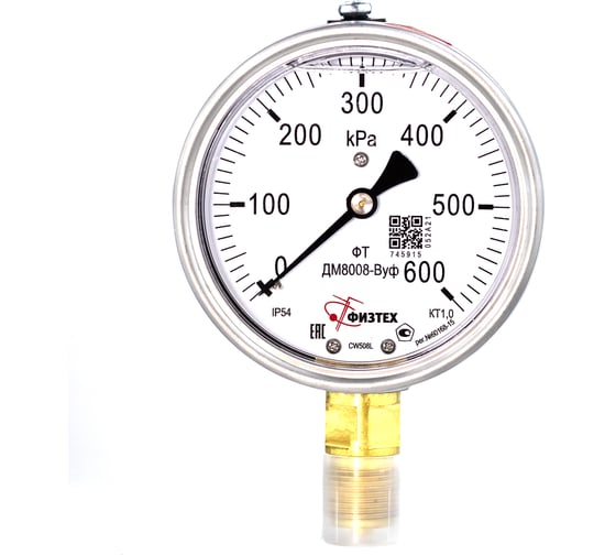 Манометр виброустойчивый Физтех ДМ8008-ВУф 0-600 кПа кт.1,0 d.100 IP54 G1/2 РШ, Без/запол 4687205640444 1