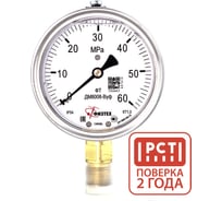 Манометр виброустойчивый Физтех ДМ8008-ВУф 0-60 МПа кт.1,0 d.100 IP54 G1/2 РШ, Глицерин 4687205640420