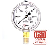 Манометр виброустойчивый Физтех ДМ8008-ВУф 0-600 кПа кт.1,0 d.100 IP54 G1/2 РШ, Глицерин 4687205640468