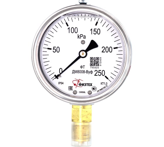 Манометр виброустойчивый Физтех ДМ8008-ВУф 0-250 кПа кт.1,0 d.100 IP54 G1/2 РШ, Глицерин 4687205640277 1