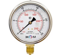 Манометр ЭКО-М МД93-100мм 0..25МПа М20*1,5 (Гидрозаполненный)
(ТН ВЭД 9026204000) МД93-100-М-25МПа