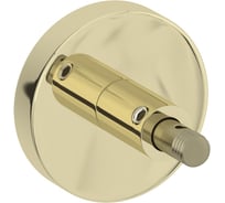 Кронштейн TUBE телескопический Сунержа н/ж (к-т) Шампань 020-1500-0000