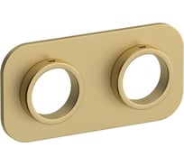 Отражатель прямоугольный Сунержа EU50 50х100 Матовая Шампань 022-1525-0000